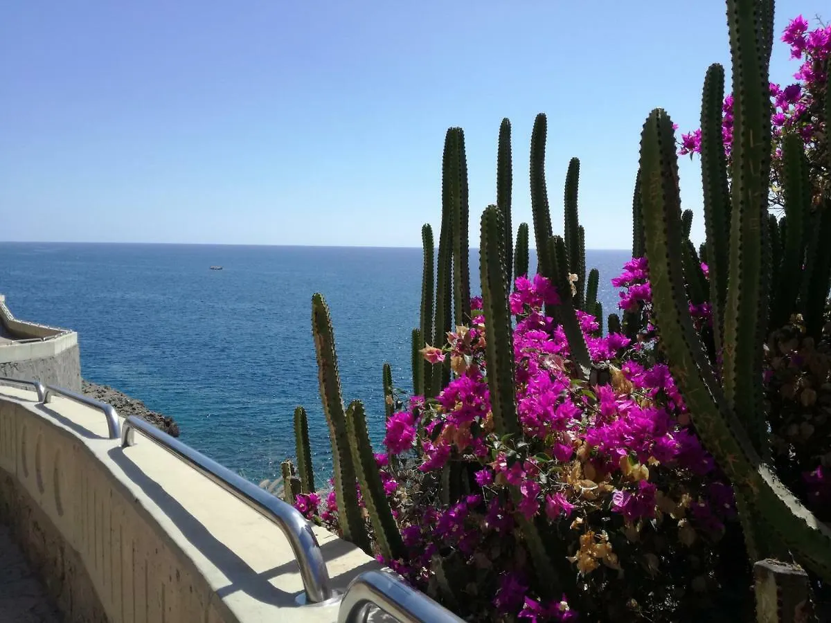 Apartment 3 Minutes From Puerto Rico Beach Mogan